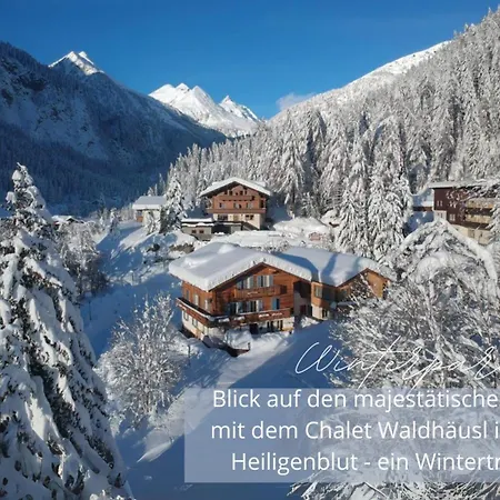 Nuss-chalet Διαμέρισμα Winkl (Spittal an der Drau)